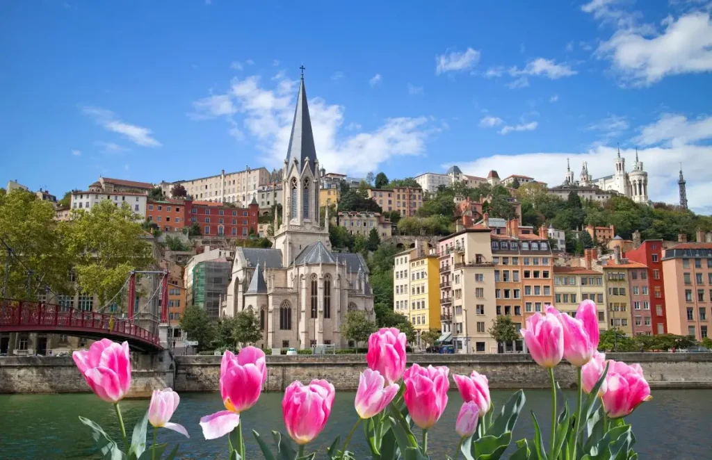 Pink tulips in bloom along the Saone with a view of Saint-Georges church, Vieux-Lyon and Fourviere hill in spring