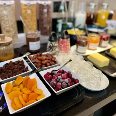 Selection of cereals, dried fruits and toppings at the breakfast buffet at Hôtel Villa Berlioz Lyon