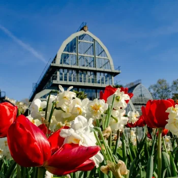 hotel-villa-berlioz-lyon-les-serres-parc-tete-dor-lyon