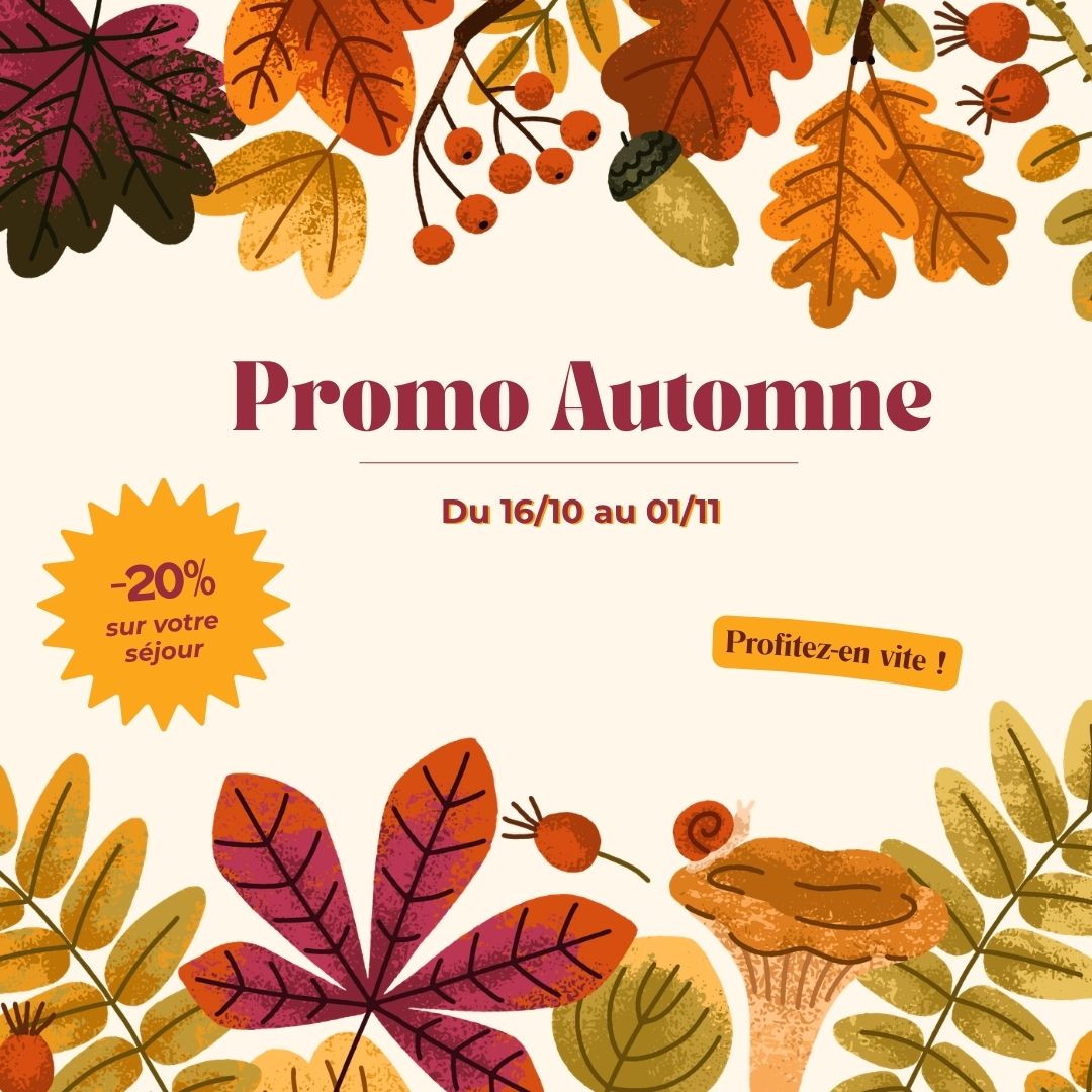 Promo Automne Hôtel Villa Berlioz Lyon : -20 % sur votre séjour du 16/10 au 01/11