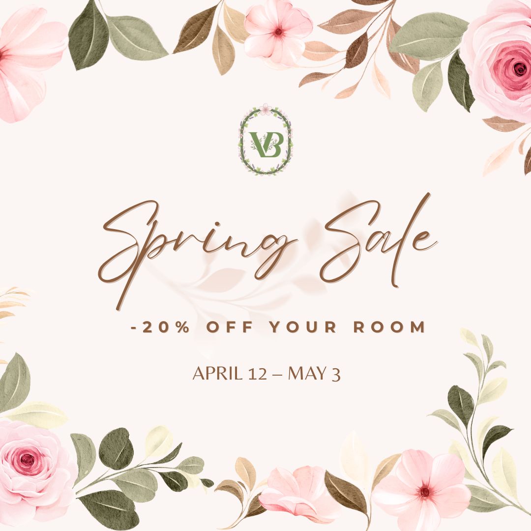 villa berlioz hotel in lyon special offer